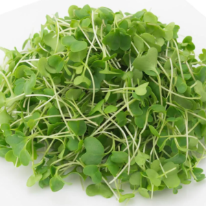 Broccoli microgreens 100g