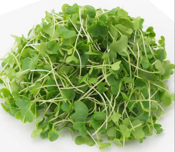 Broccoli microgreens 100g