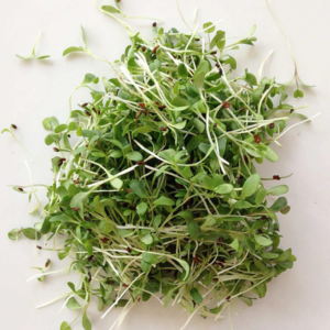 Mustard microgreens 100g