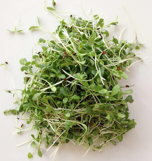 Mustard microgreens 100g